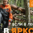 Рекомендации для тех, кто отправляется в лес от поискового отряда “ЛизаАлерт” Курской области - Газета Дмитриевский вестник