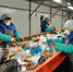 Под Курском построят мусоросортировочный комплекс - Газета Дмитриевский вестник