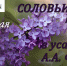 «Соловьиная ночь» в усадьбе А.А. Фета - Газета Дмитриевский вестник