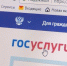 На госуслугах создан раздел для граждан ЛНР и ДНР - Газета Дмитриевский вестник