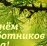 Поздравление Губернатора Курской области Р.В. Старовойта с Днем работников леса - Газета Дмитриевский вестник