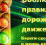В результате халатности пострадали дети - Газета Дмитриевский вестник