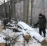 «Тепло для военнослужащих» - Газета Дмитриевский вестник