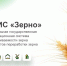 Каждое зёрнышко на счету - Газета Дмитриевский вестник