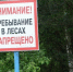 Продлены ограничительные меры на пребывание граждан в лесах - Газета Дмитриевский вестник