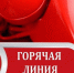 Внимание: «горячая линия»! - Газета Дмитриевский вестник