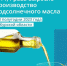 В Курской области значительно выросло производство подсолнечного масла - Газета Дмитриевский вестник