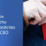 Государственная Дума приняла закон о социальных предприятиях, направленный на поддержу участников спецоперации - Газета Дмитриевский вестник