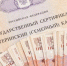 Курские семьи улучшают жилищные условия за счет маткапитала - Газета Дмитриевский вестник