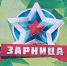 Стартовал отборочный этап игры «Зарница 2.0» - Газета Дмитриевский вестник
