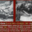5 июля 1943 года началось сражение на Курской дуге - Газета Дмитриевский вестник