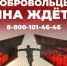 Вступайте в ряды добровольной народной дружины! - Газета Дмитриевский вестник