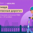 Приглашает к участию онлайн-олимпиада «Безопасные дороги» - Газета Дмитриевский вестник
