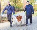 Осень — время субботников