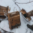 Бойцы отряда «БАРС-Курск» в Кореневском районе обнаружили схрон с боекомплектом - Газета Дмитриевский вестник