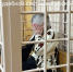 70-летней пенсионерке, обвиняемой в поджоге МФЦ Курска, избрана мера пресечения в виде запрета определенных действий - Газета Дмитриевский вестник