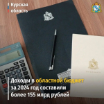 О ходе исполнения регионального бюджета за 2024 год