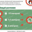 #ЛИКБЕЗотМЧС : как зажечь, но не нарушить? - Газета Дмитриевский вестник