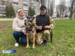 ❗️Курский Хатико дождался