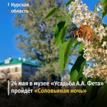 24 мая в музее «Усадьба А.А. Фета» в деревне Воробьевке пройдет литературно-музыкальное мероприятие «Соловьиная ночь»