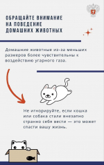 Как избежать отравления угарным газом