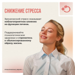 Печень — один из самых «трудолюбивых» органов нашего тела. Она фильтрует токсины, помогает переваривать пищу, участвует в обмене веществ. Но именно печень чаще всего страдает от скрытых угроз — и инфекционных, и неинфекционных.