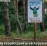 🔔 Постановлением Правительства Курской области с 12 сентября 2025 года на территории всего региона установлен особый противопожарный режим. Это связано с высоким классом пожарной опасности, а также с отсутствием осадков. - Газета Дмитриевский вестник