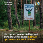 🔔 Постановлением Правительства Курской области с 12 сентября 2025 года на территории всего региона установлен особый противопожарный режим. Это связано с высоким классом пожарной опасности, а также с отсутствием осадков.